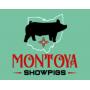 Auction Pre Bid Starts Feb 17 @ 5:00pm