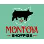 MONTOYA SHOW PIGS