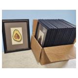 17 FRAMED FRUIT PRINTS