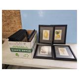 12 FRMAED FRUIT PRINTS