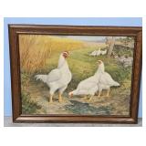 1953 Group of White Cornish by A.O. Schilling