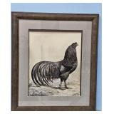 1929 Black Sumatra by A.O. Schilling