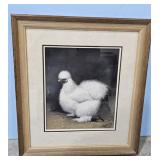 1933/51 White Silkie byA.O.  Schilling