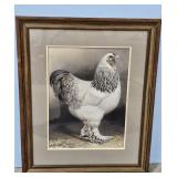 1922/52 Light Brhama by A.O. Schilling