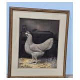 1938 Buff Leghorn By A.O. Schilling