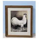 1938 White Leghorn by A.O.  Schilling