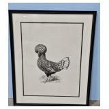 1904 Silver Laced Polish by Swell