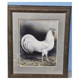 1938 White Rosecomb Leghorn by A.O. Schilling