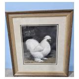 1933/51 White Silkie by A.O. Schilling