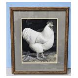 1922 White Orpington by A.O. Schilling