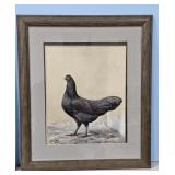 1929 Black Sumatra by A.O. Schilling