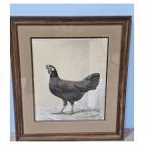 1929/52 Black Minorca from Standard A.O Schilling