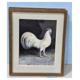 1951 White Leghorn by A.O,. Schilling