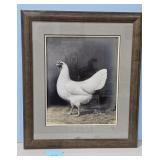 1938 White Rosecomb Leghorn by A.O. Schilling