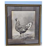 1922 Silver Spangled Hamburg by A.O.  Schilling