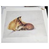 FOX PRINTS BY CAPITO 301-396/600