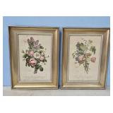 PAIR OF BOTANNICAL ILLUSTRATION BY JEAN LOUIS PREV