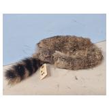 RACOON HAT