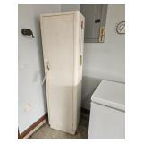 METAL PAINTED CABINET