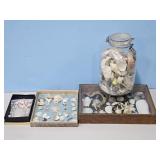 Sea Shell Collection - Assorted Seashells, Coral S