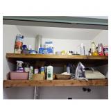 Contents of items on shelf of Hall Closet