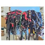Several Climbing Harness Multicolor Lot