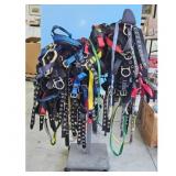 Several Multicolor Safety Harnesses Lot