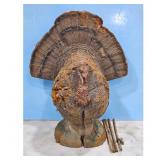 Turkey Target, Hunting, Durable Material