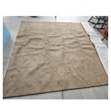 Large Beige Textured Area Rug