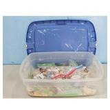 Assorted Seashells Collection in Storage Bin