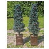 Set of 2 Artificial Christmas Trees with Planters