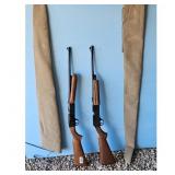 Daisy 856 Air Rifles Set