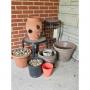 839 Martindale rd. Vandalia