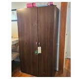 Dark Wood Storage Cabinet with Shelves and Doors