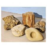 Collection of 5 Natural Rocks and Petrified Wood
