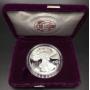 1991 1oz Silver Eagle Proof Coin