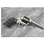 Ruger WRANGLER .22 LR Revolver