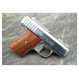 RAVEN P-25 .25 AUTO Pistol