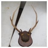 TWO SETS OF ANTLERS