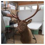 3X6 ELK MOUNT