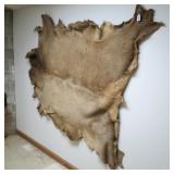 TANNED ELK HIDE