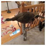 BEARDED HEN LIMB MOUNT