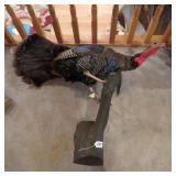 LONGBEARD TURKEY LIMB MOUNT