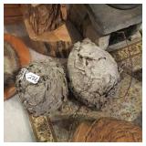 2 WASP NESTS