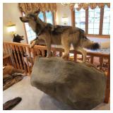 WOLF ON ROCK MOUNT