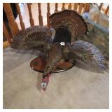 LONGBEARD FLYING MOUNT