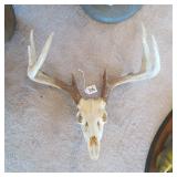 8 POINT EUROPEAN MOUNT