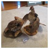 2 RUFFLED GROUSE MOUNTS