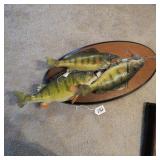 PERCH ON STRINGER MOUNT