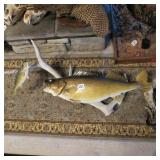 WALLEYE / PERCH ON ELK ANTLER MOUNT